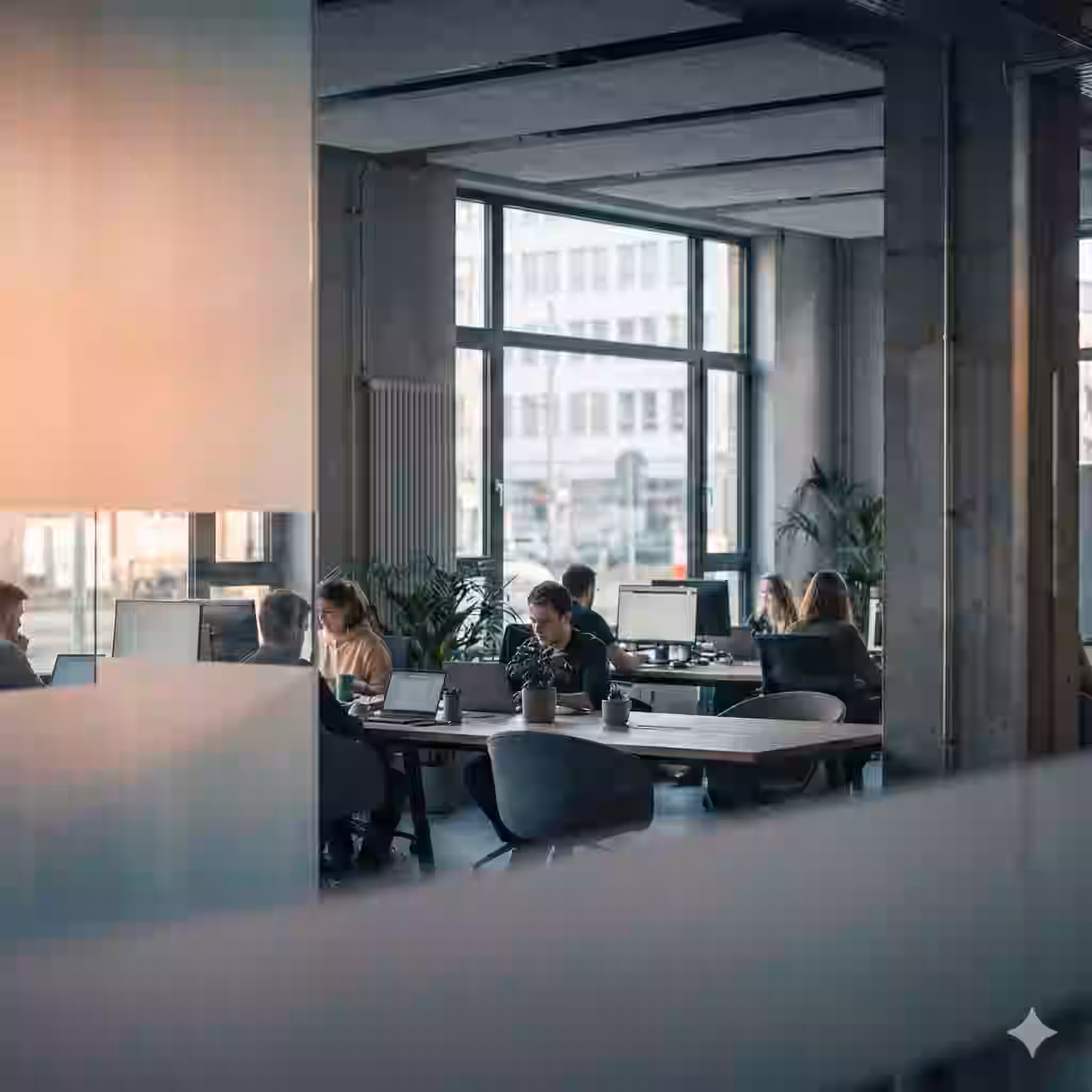 Professional Services